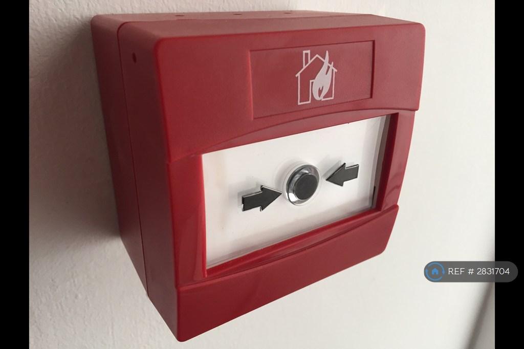 Accessible Fire Alarms