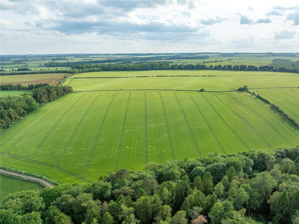 Farmland