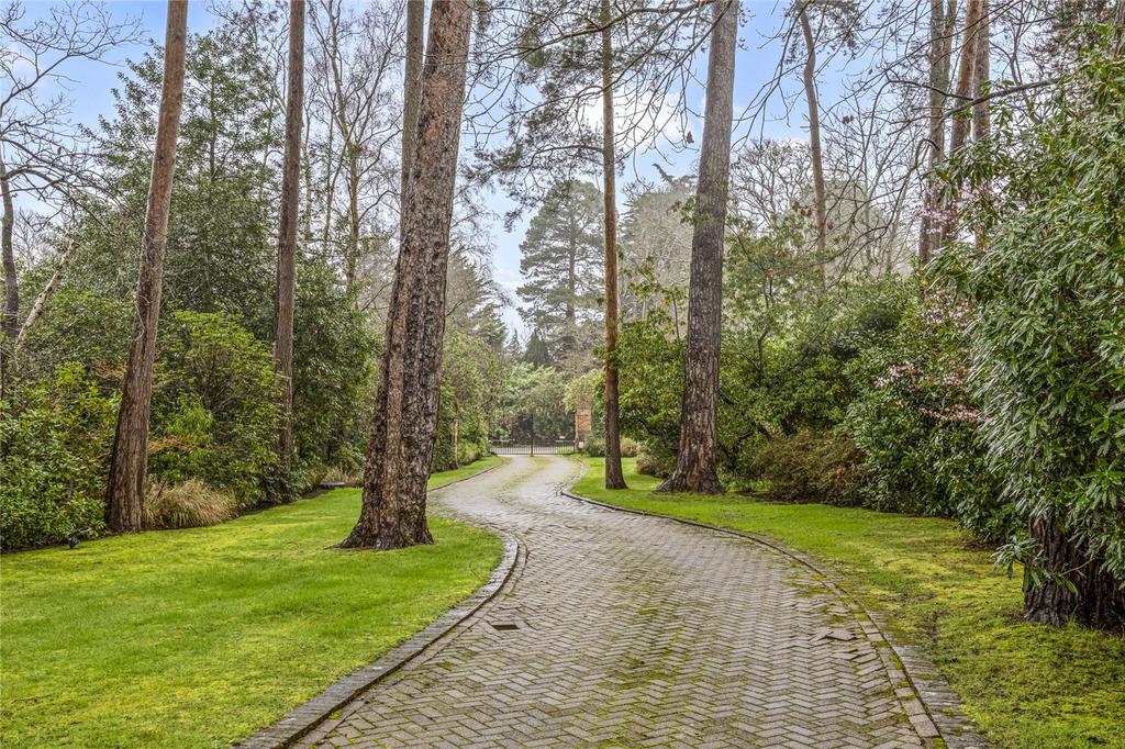 Driveway