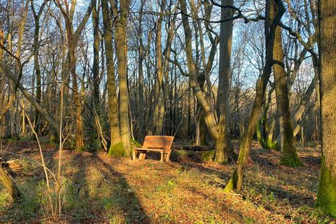 undefined, South Longfield Wood (3.5 acres), Rusper, Near Crawley, West Sussex RH12