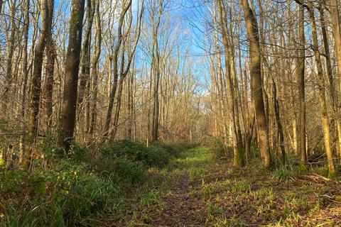 undefined, South Longfield Wood (3.5 acres), Rusper, Near Crawley, West Sussex RH12