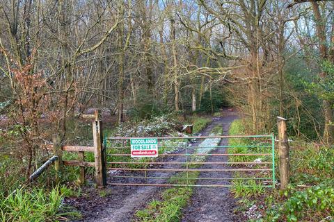 undefined, South Longfield Wood (3.5 acres), Rusper, Near Crawley, West Sussex RH12