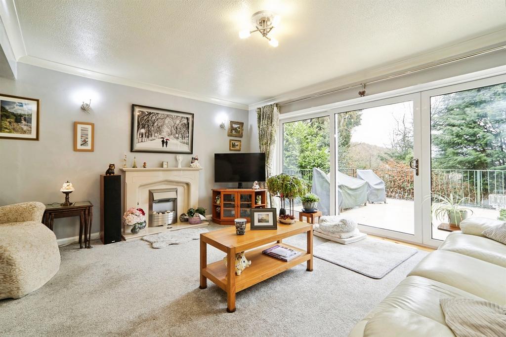 Living room, fireplace