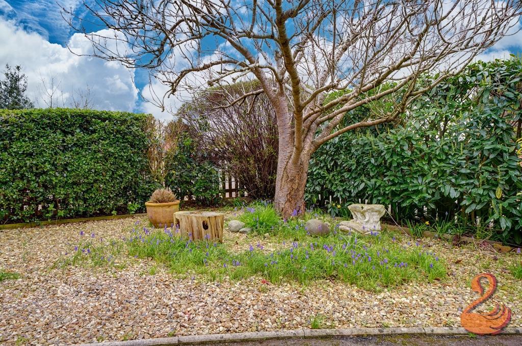 Garden.jpg