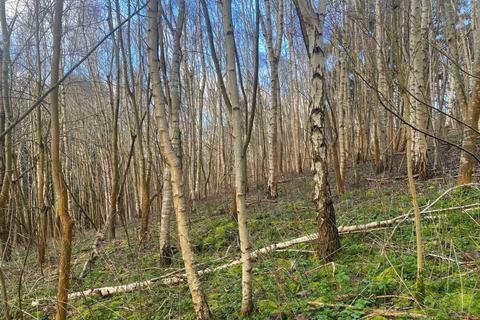 undefined, Monkswood Wood (about 6 acres), Broomfield,  Maidstone, Kent  ME17
