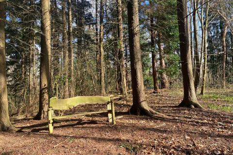 undefined, Monkswood Wood (about 6 acres), Broomfield,  Maidstone, Kent  ME17