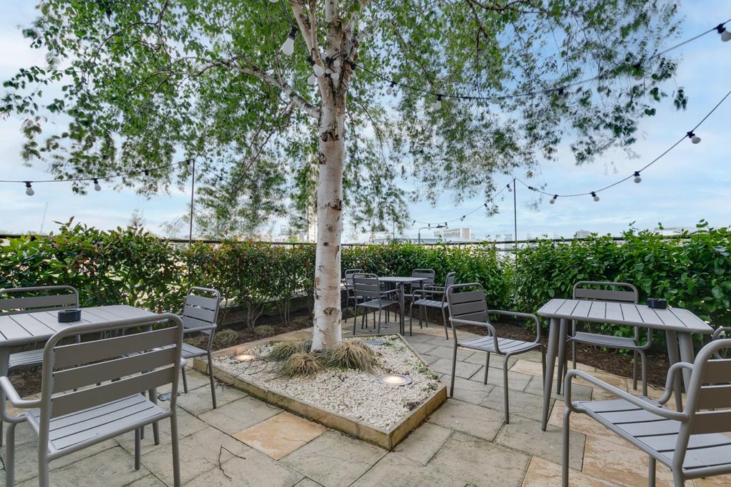 Communal Terrace