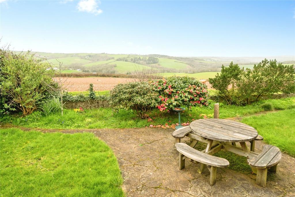 Back Garden