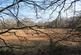 Additional image 12 of Hurdle Wood (4.75 acres), Beckley, near Rye, East Sussex TN31