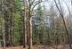 Additional image 7 of Hurdle Wood (4.75 acres), Beckley, near Rye, East Sussex TN31