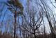 Additional image 8 of Hurdle Wood (4.75 acres), Beckley, near Rye, East Sussex TN31