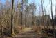 Additional image 10 of Hurdle Wood (4.75 acres), Beckley, near Rye, East Sussex TN31