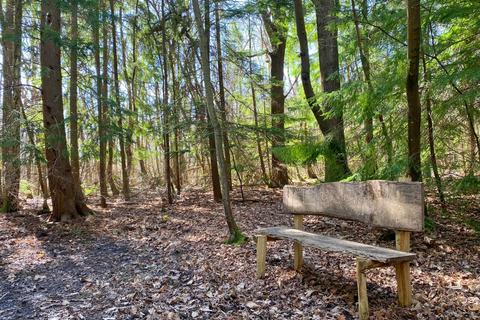 undefined, Hurdle Wood (4.75 acres), Beckley, near Rye, East Sussex TN31