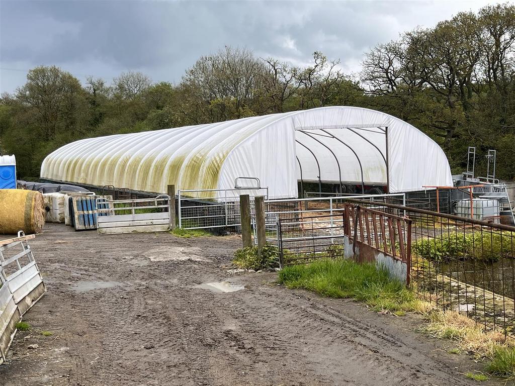 Polytunnel