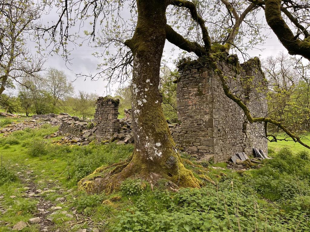 Abernaint Fach