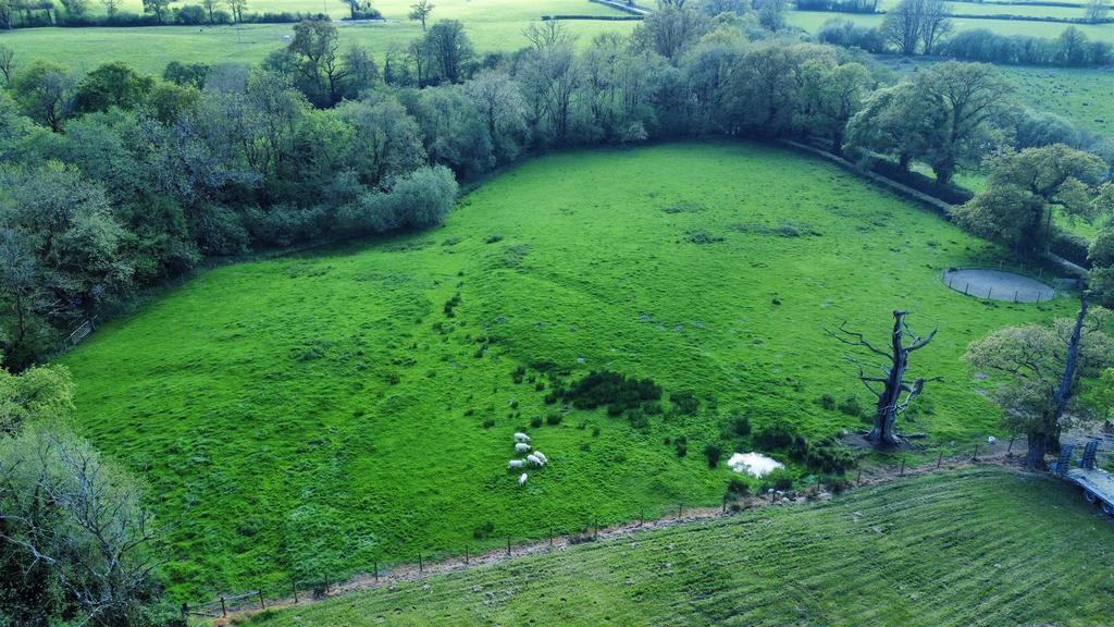 The land (third area)
