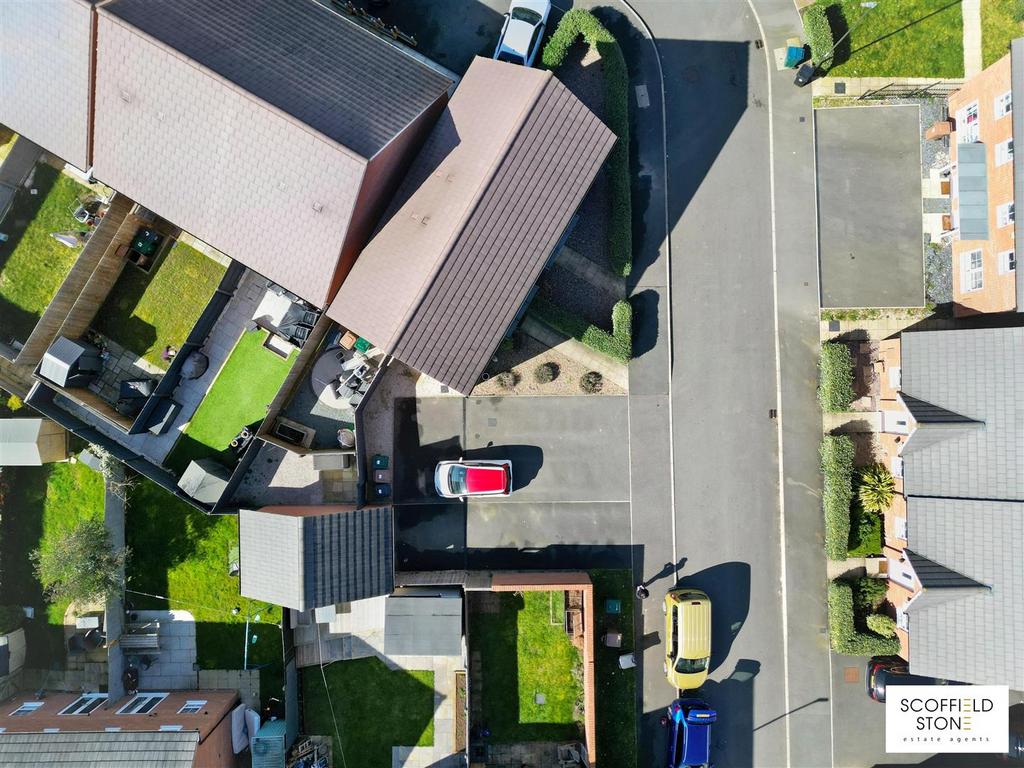 Birdseye