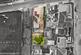 Additional image 21 of Woodland Drive, Hove