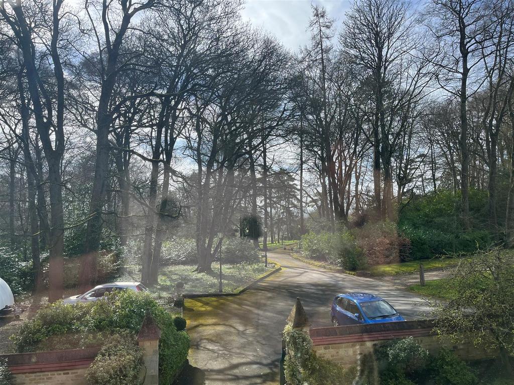 View from bedroom.jpg