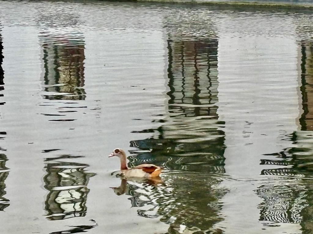 IMG 0112.jpeg