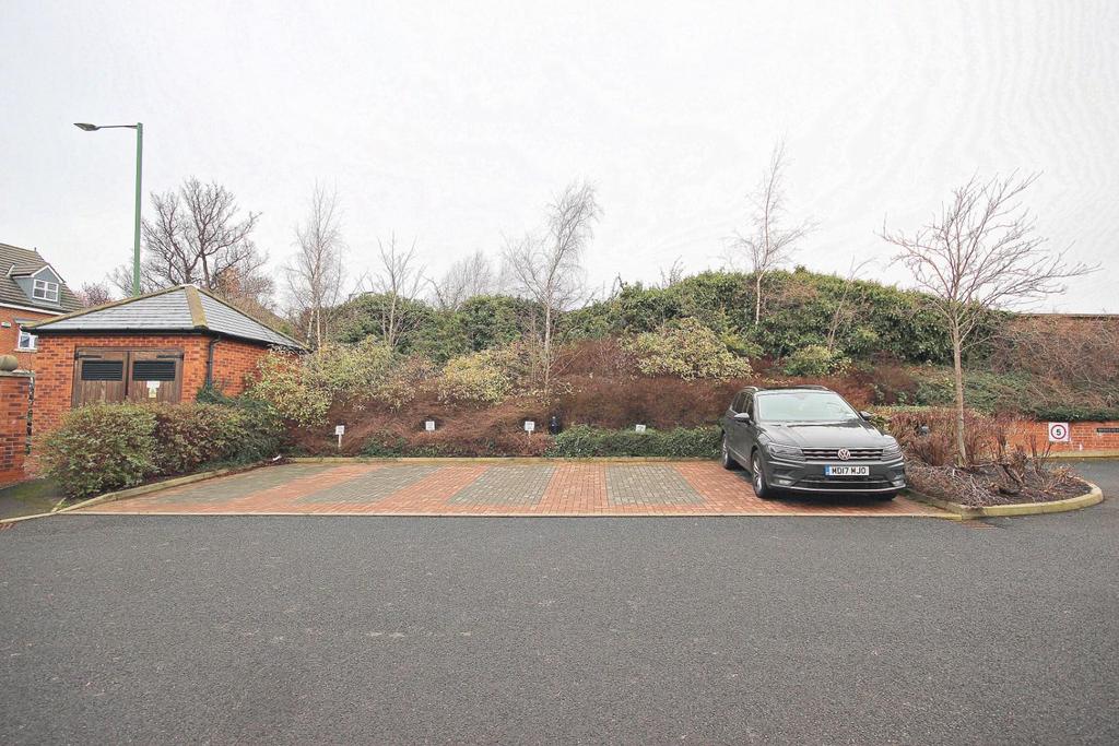 Driveway view