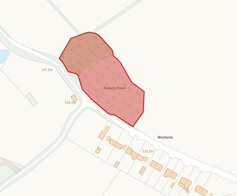 Rookery Wood - Auction Pic 1.png