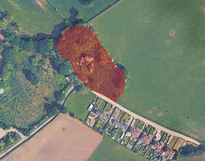 Rookery Wood - Auction Pic 2.png