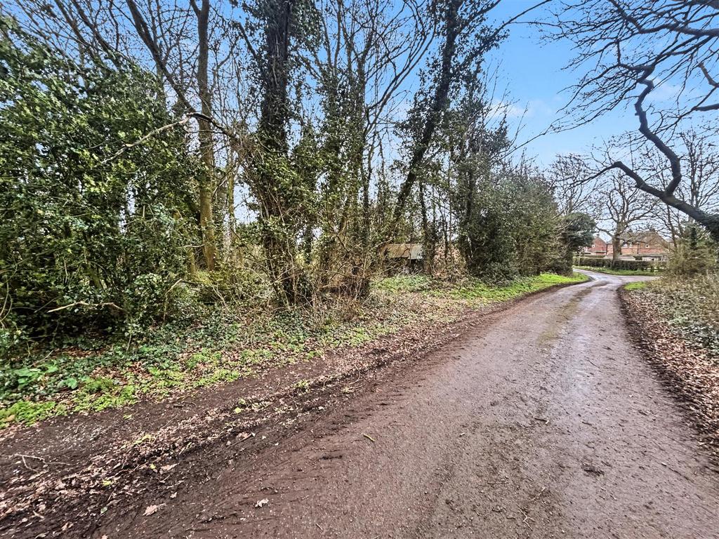 01 20260312 145738714 i OS.jpeg