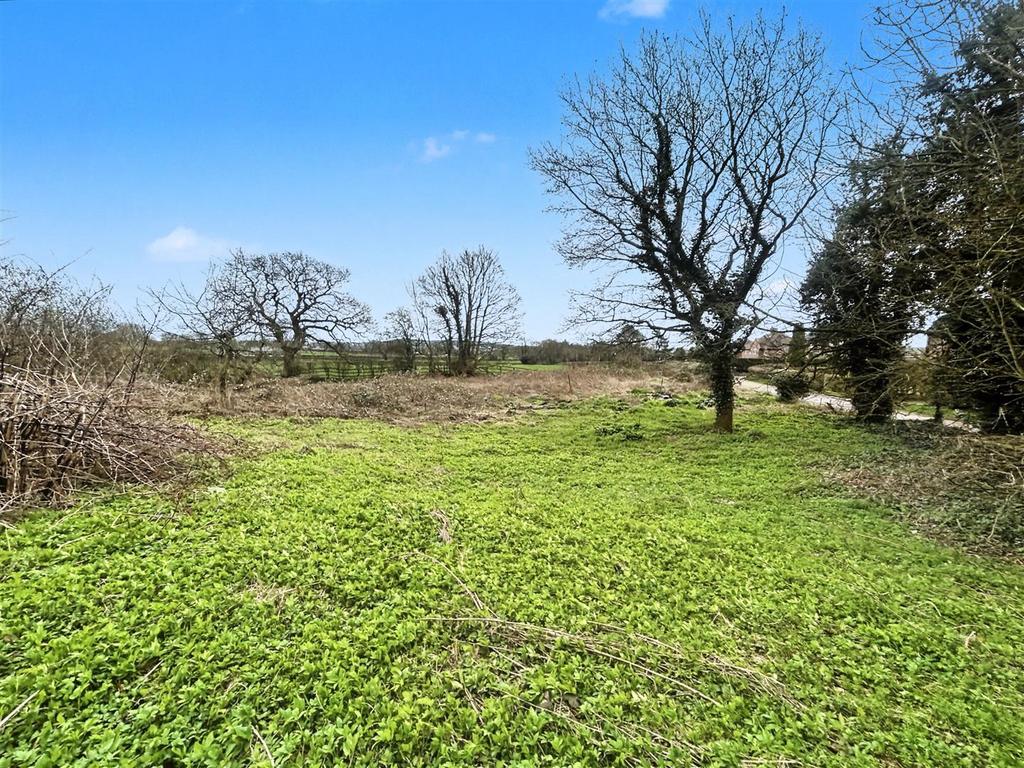 13 20260312 150739419 i OS.jpeg