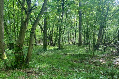 undefined, Rondel Wood (6.5 acres), Shadoxhurst, near Ashford, Kent  TN26