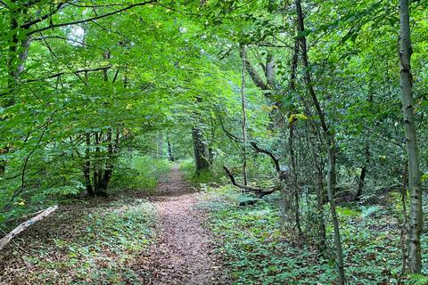 undefined, Arris Wood (7.5 acres), Biddenden, Kent TN27