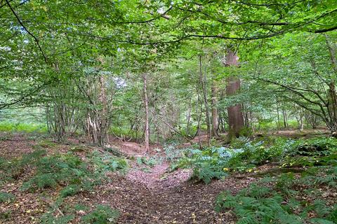 undefined, Arris Wood (7.5 acres), Biddenden, Kent TN27
