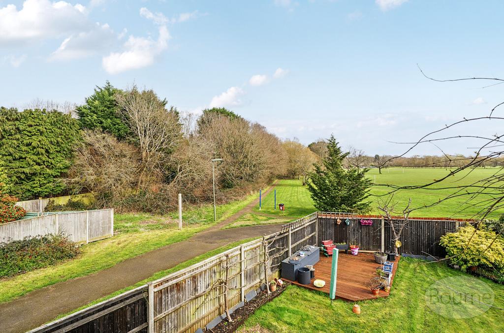 Picture 16