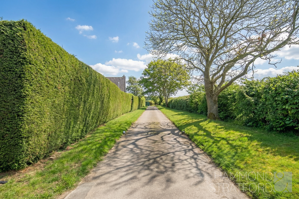 Driveway