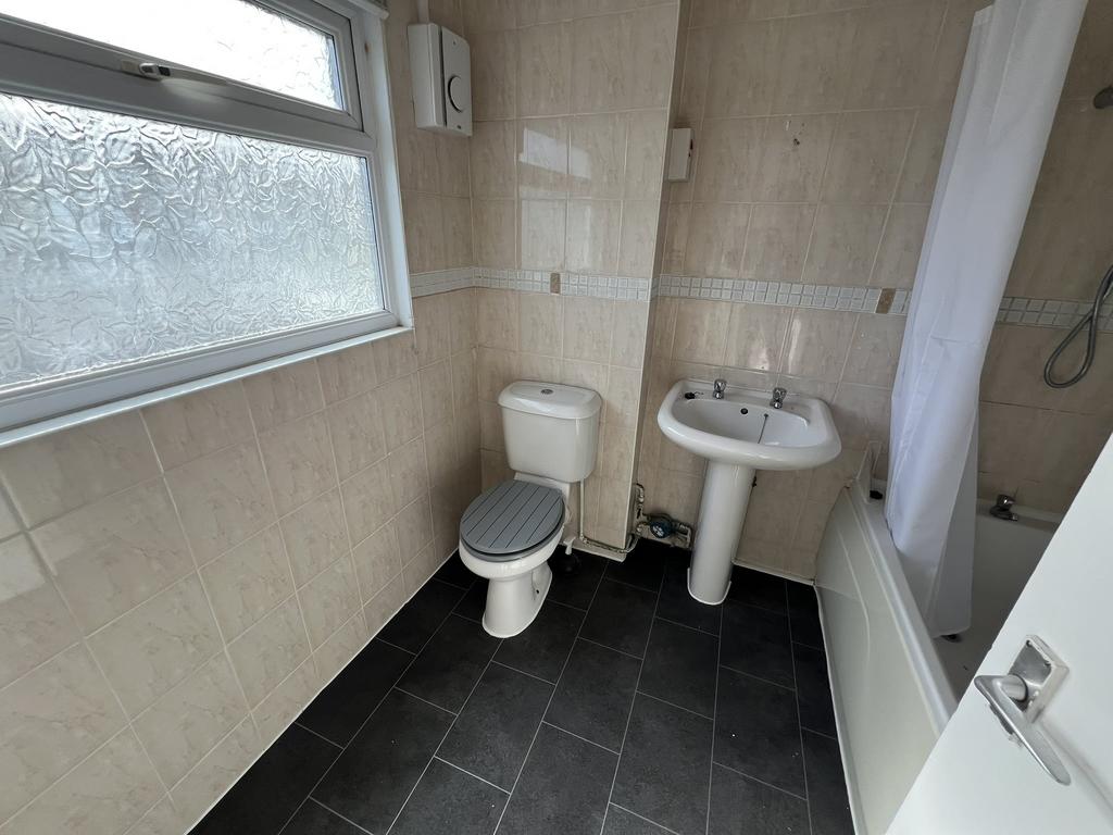 Img 3755