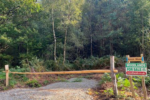undefined, Notch Wood (4.5 acres), Biddenden, Kent TN27