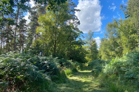 undefined, Notch Wood (4.5 acres), Biddenden, Kent TN27