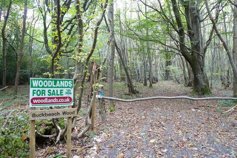undefined, Buckbeech Wood (7.5 acres), Garlinge Green, Canterbury, Kent CT4