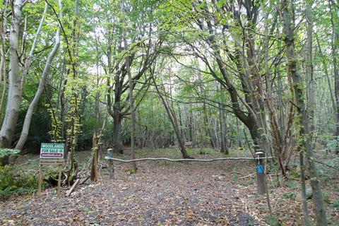 undefined, Buckbeech Wood (7.5 acres), Garlinge Green, Canterbury, Kent CT4