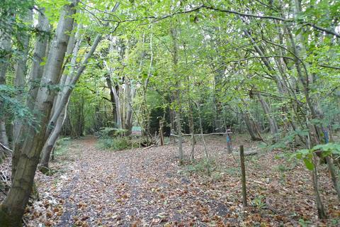 undefined, Buckbeech Wood (7.5 acres), Garlinge Green, Canterbury, Kent CT4