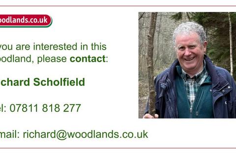 undefined, Buckbeech Wood (7.5 acres), Garlinge Green, Canterbury, Kent CT4