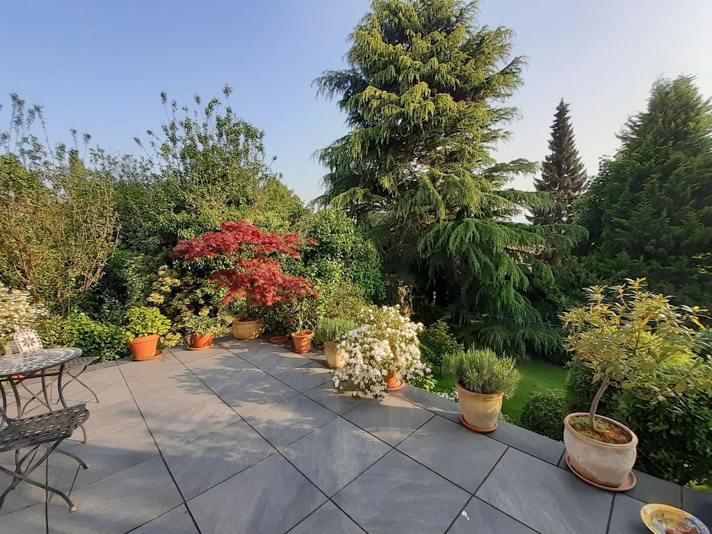 Patio (Vendor Provided)