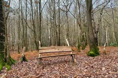 undefined, Riding Wood (about 5 acres), Biddenden, Kent  TN27