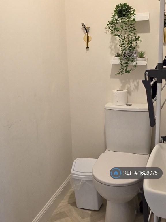 Guest Toilet