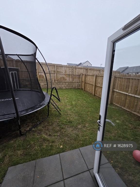 Back Garden