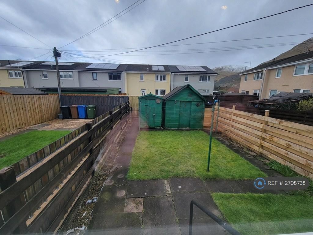 Back Garden