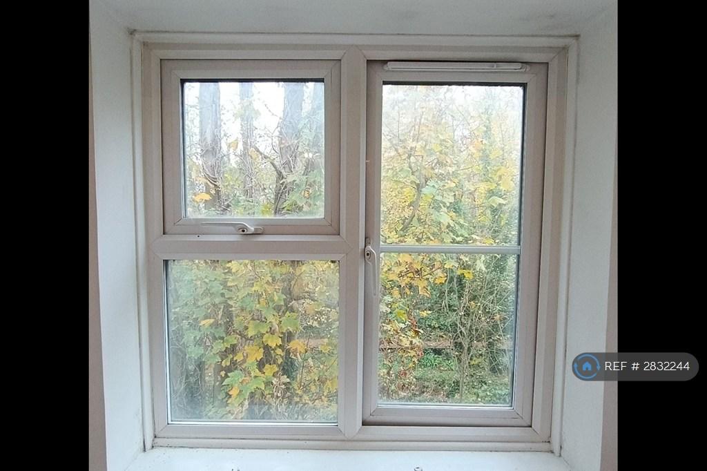 View From Bedrooms &amp; Living