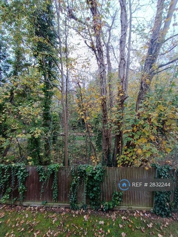 Parkland Walk Views.
