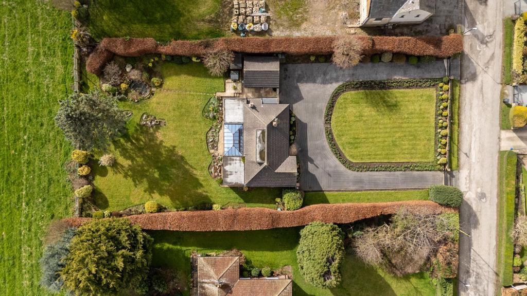 DJI 20260310123717 0008 D.jpg