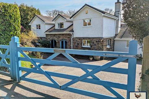 undefined, Down Road, Tavistock, PL19
